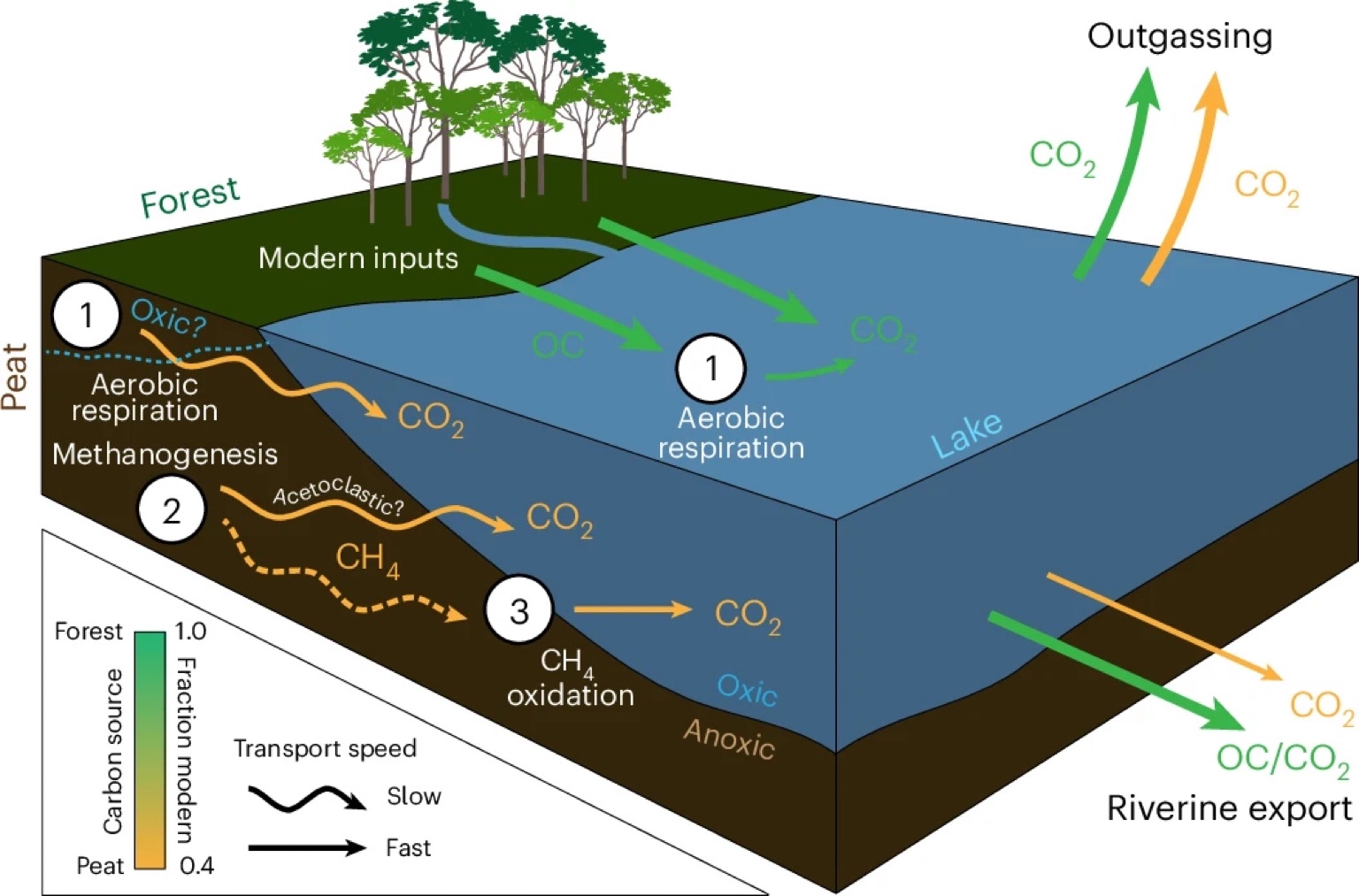 Image by Drake et al., 2026 (CC BY 4.0).