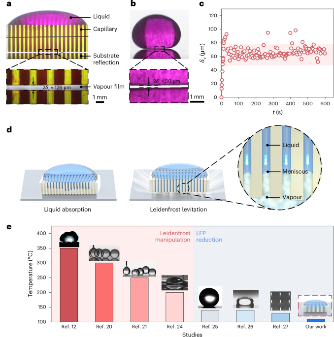Capillary Leidenfrost effect | Nature Physics