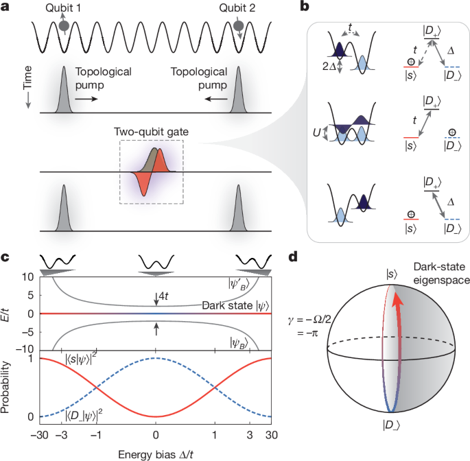 Protected quantum gates using qubit doublons in dynamical optical lattices