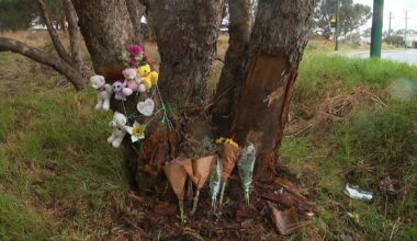 Girls aged three and four die in hospital after Ford Territory slams into tree in Viveash, Perth