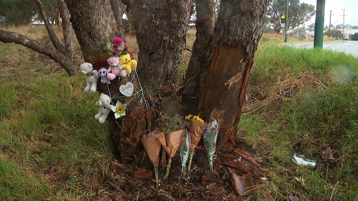 Girls aged three and four die in hospital after Ford Territory slams into tree in Viveash, Perth