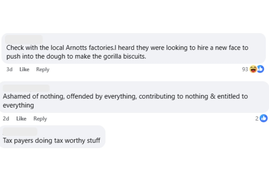 Racist comments screenshotted from a facebook post.