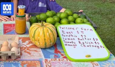 How a primary school student turned excess backyard fruit into a thriving school farmers' market