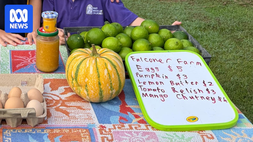 How a primary school student turned excess backyard fruit into a thriving school farmers' market