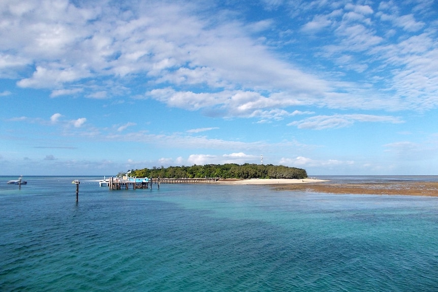 Green island as seen from just above water level.