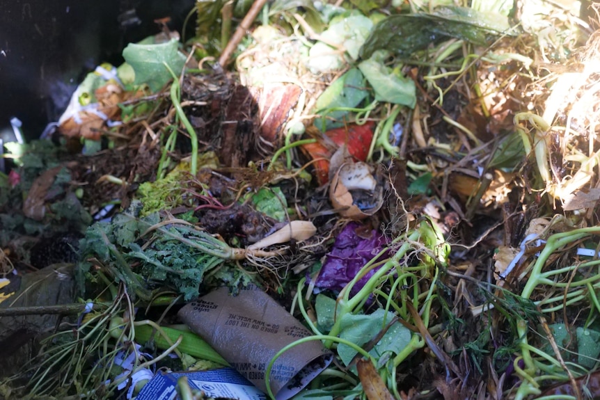 A generic photo of food and organic waste.