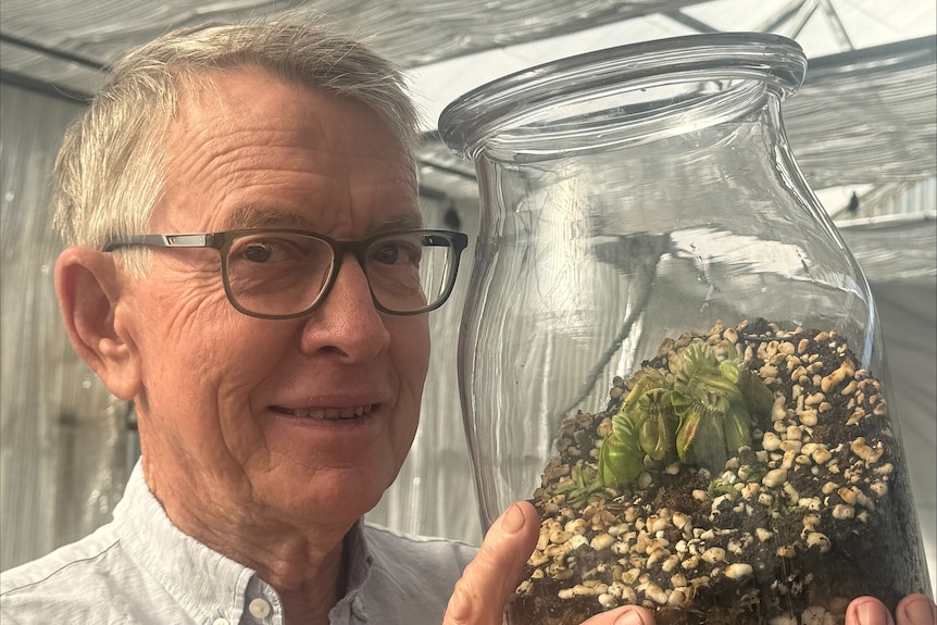 A man with short grey hair and glasses holding a large glass terrarium up with a green plant inside.