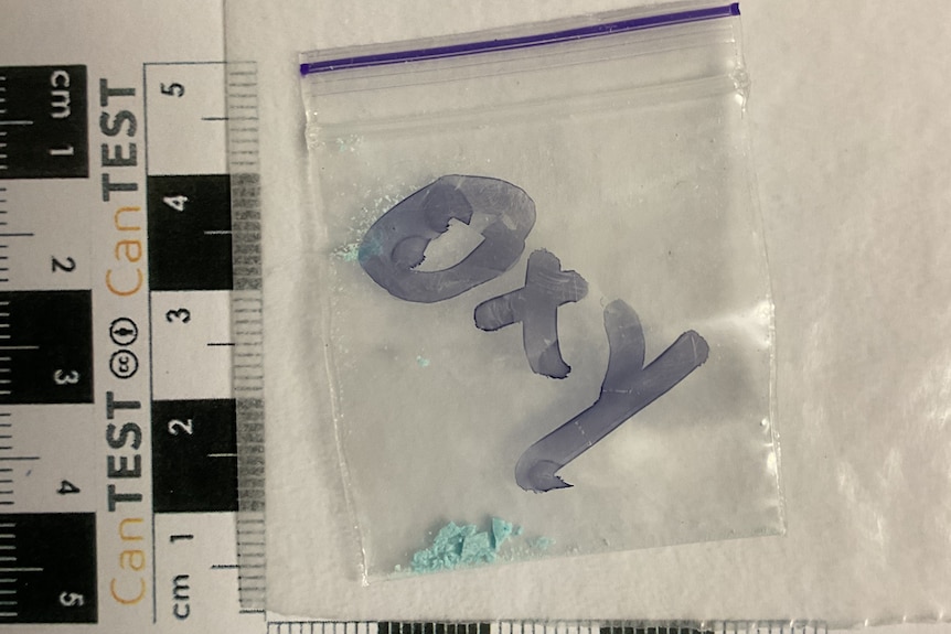 A photo of a crushed blue powder in a small clear bag next to a measuring ruler.