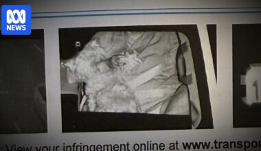 Massive reduction in road safety offences thanks to AI-assisted cameras, WA government says