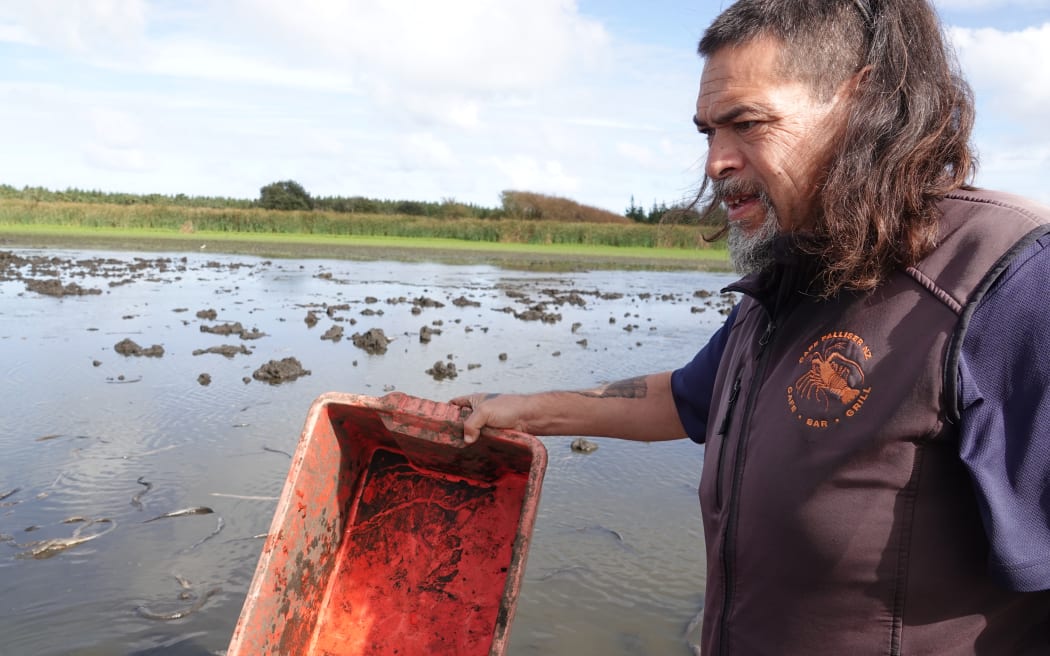 Justin Tamihana looks over the lakebed in search of eels. RNZ/Jimmy Ellingham