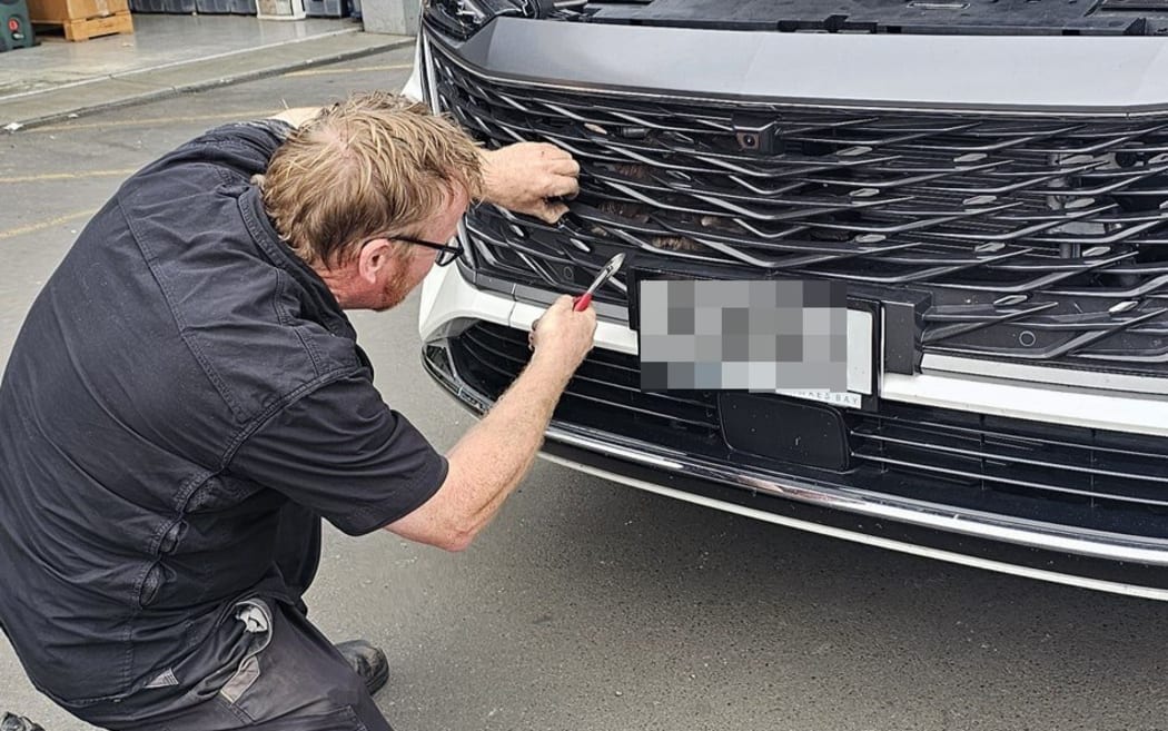 VetsOne Hastings had an unusual call last week when a woman hit a hawk. The impact sent the bird straight through the front grille of the car, wings outstretched across the bumper like a giant, feathered butterfly. The hawk escaped major injury. Photo / Nadine Hook