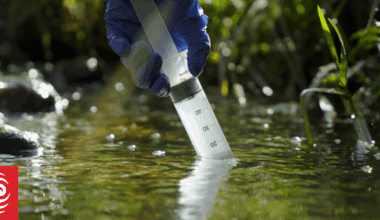 Conservationists alarmed by new report into New Zealand's freshwater
