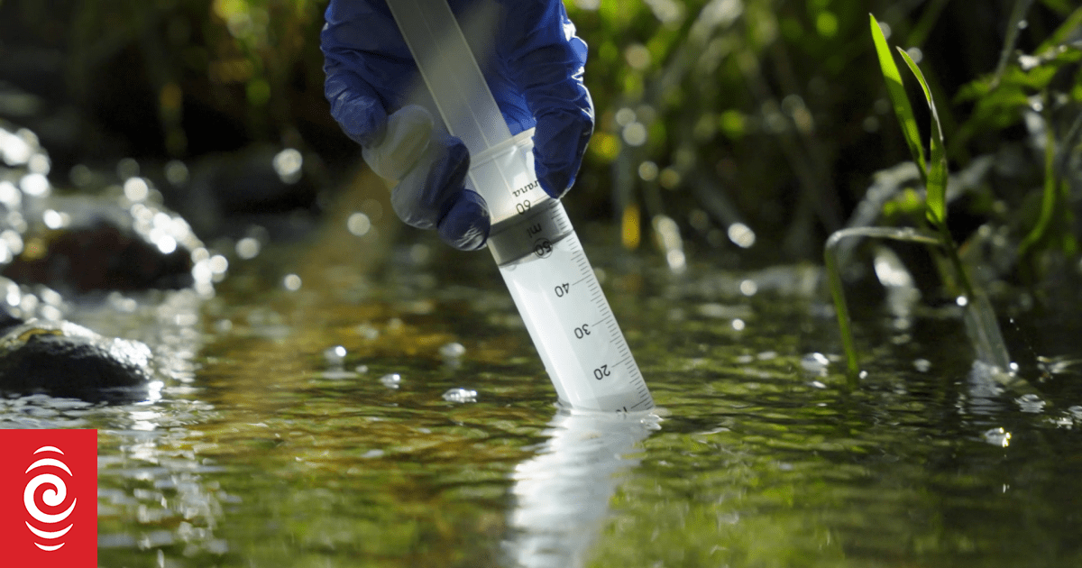 Conservationists alarmed by new report into New Zealand's freshwater
