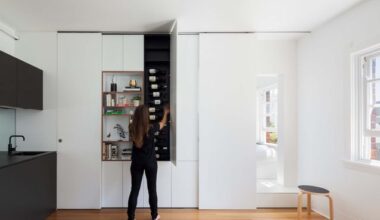 First House: Darlinghurst Apartment by Brad Swartz Architects