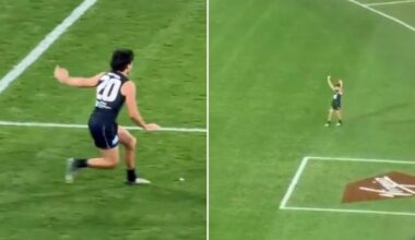 Fan-filmed footage sparks concern for welfare of Carlton midfielder Elijah Hollands