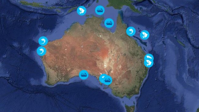 The company’s fleet fishes across Australia, targeting prawns and other species in key commercial fisheries.
