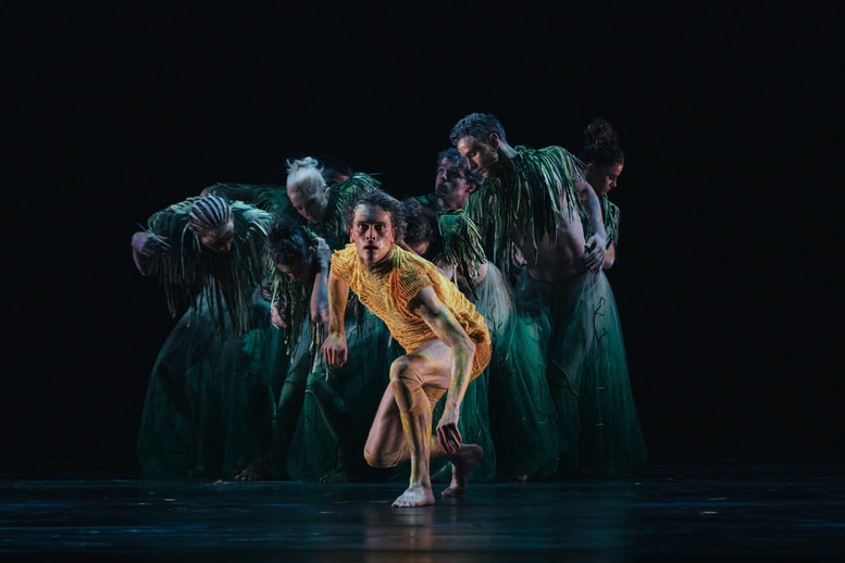 On stage, a dancer dressed in yellow crouches, looking ahead, a group of Indigenous and non-Indigenous dancers behind.