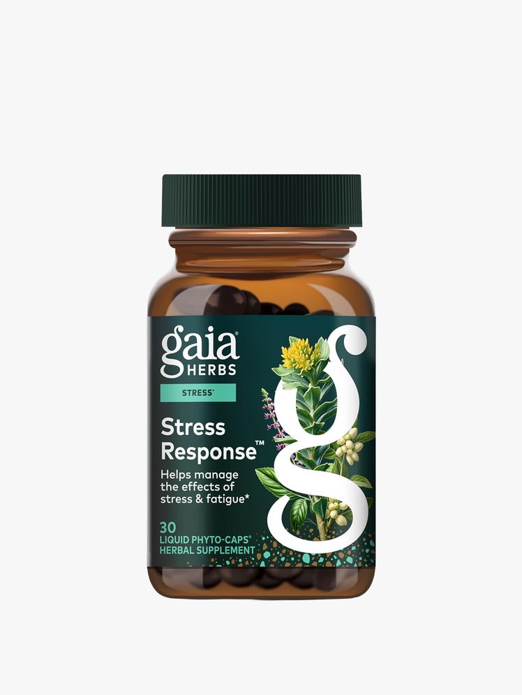 Image may contain: Herbal, Herbs, Plant, Astragalus, and Flower