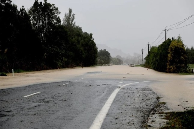 Flooded waters across a road with trees either side.