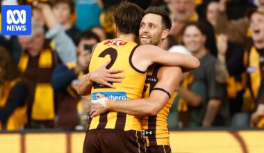 Jack Gunston's behind in dying seconds allows Hawthorn to claim Easter Monday thriller against Geelong