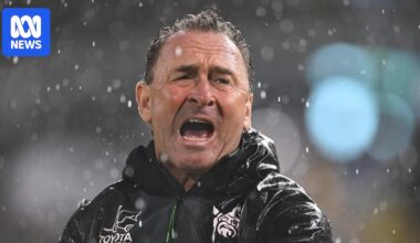 NRL six-again rule should be scrapped, according to coach Ricky Stuart