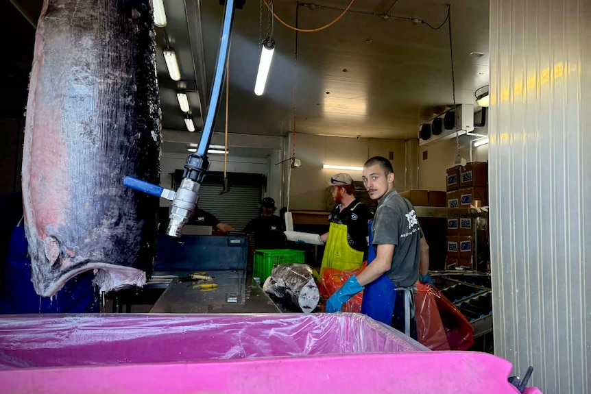 People inside a fish processing plant.