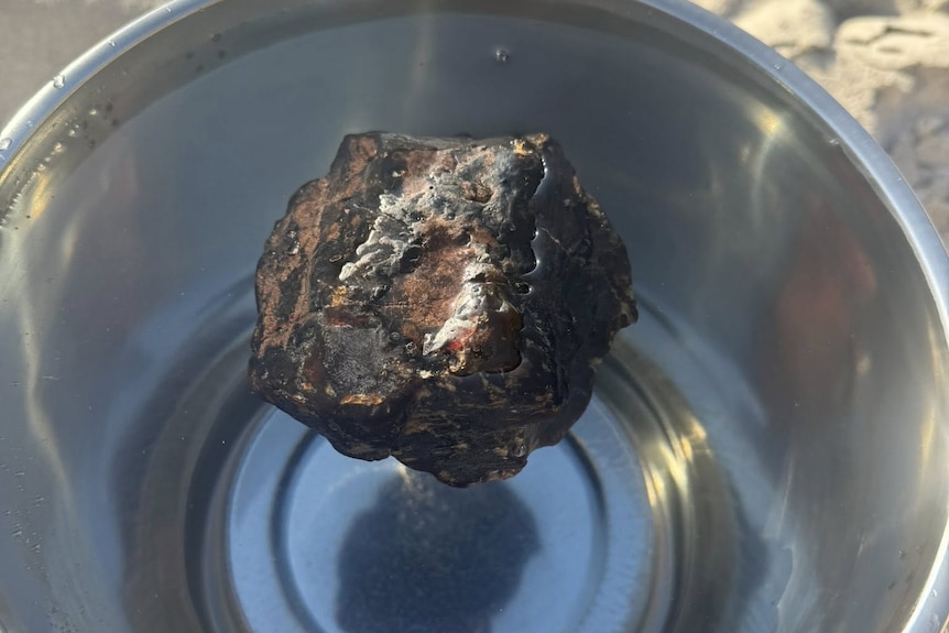 ambergris floats in water