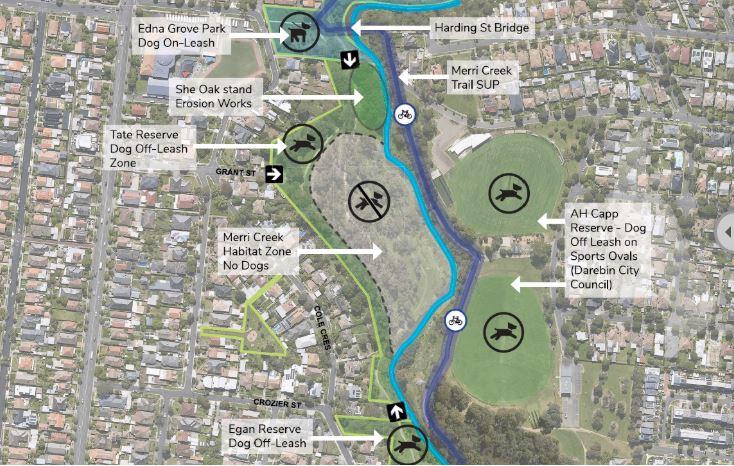 The council's future plans.