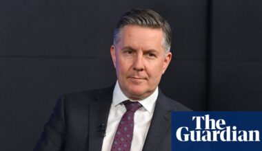 Australians ‘uneasy’ about NDIS cuts amid $53bn in new defence spending, Mark Butler concedes | National disability insurance scheme