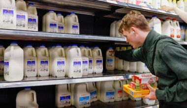 Dairy farmers push for $2 milk as Middle East fuel crisis threatens food supply
