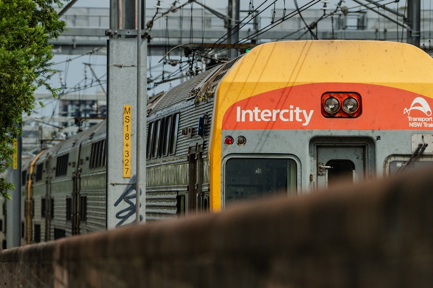 A train on a city railway.
