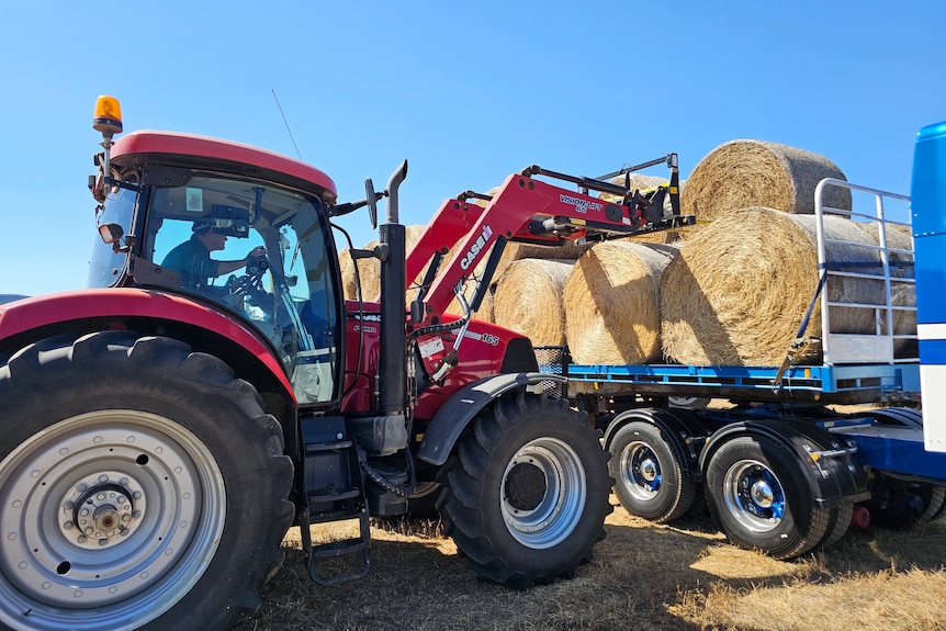 A tractor lifts a hay bale of the back of a truck.