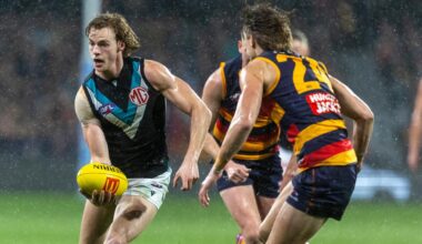 AFL tips Round 8 2026