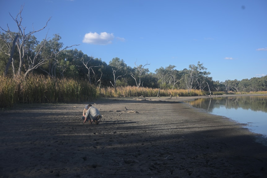 Two people crouch on a muddy shore, receding water on the right and wetland vegetation in the background.