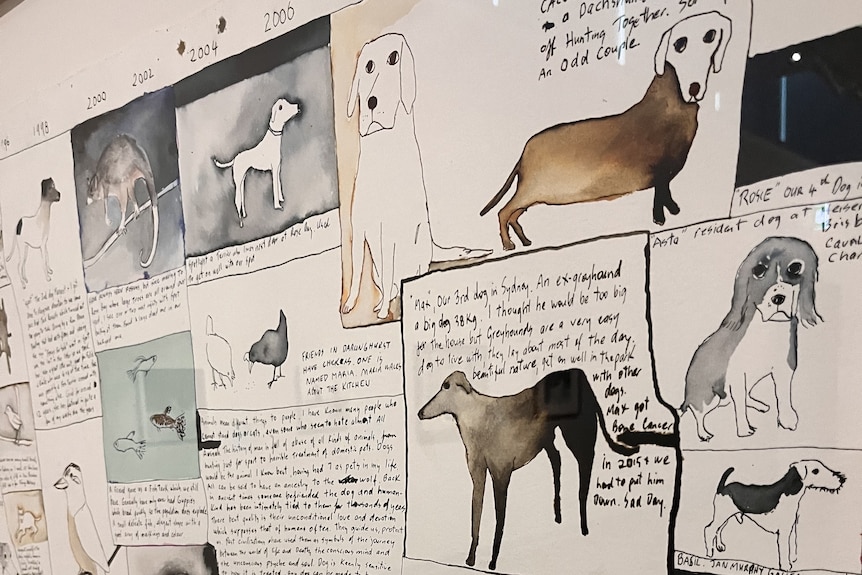 An art piece covered in watercolour illustrations of animals, arranged in a timeline.