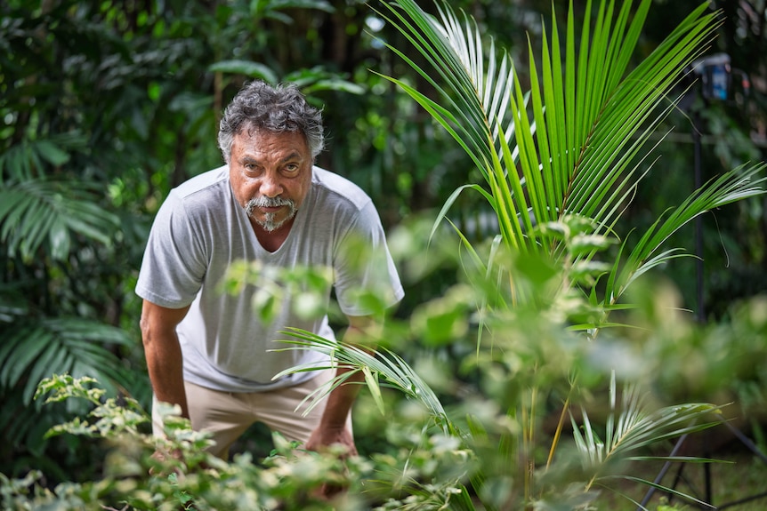 Tan man, graying hair, leaning over, hands on knees in green tropical garden, looking directly at camera, sombre expression.