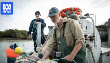 SA fishers demand urgent action to protect stocks, fearing long-term wipeout