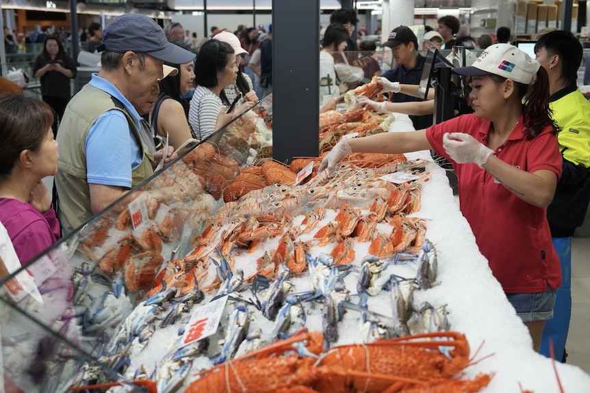 People at the new sydney fish market