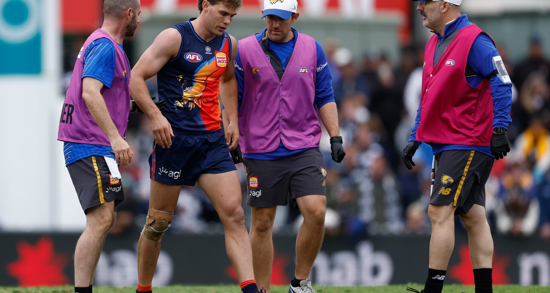 Season over for Eagles recruit after cruel injury blow
