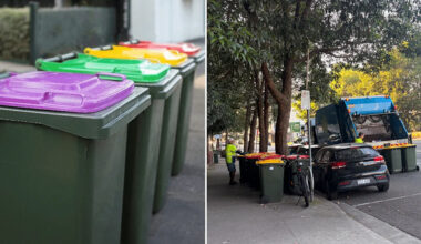 Councils plead for reason as fourth bin forced onto millions of Aussies: 'Unnecessary'