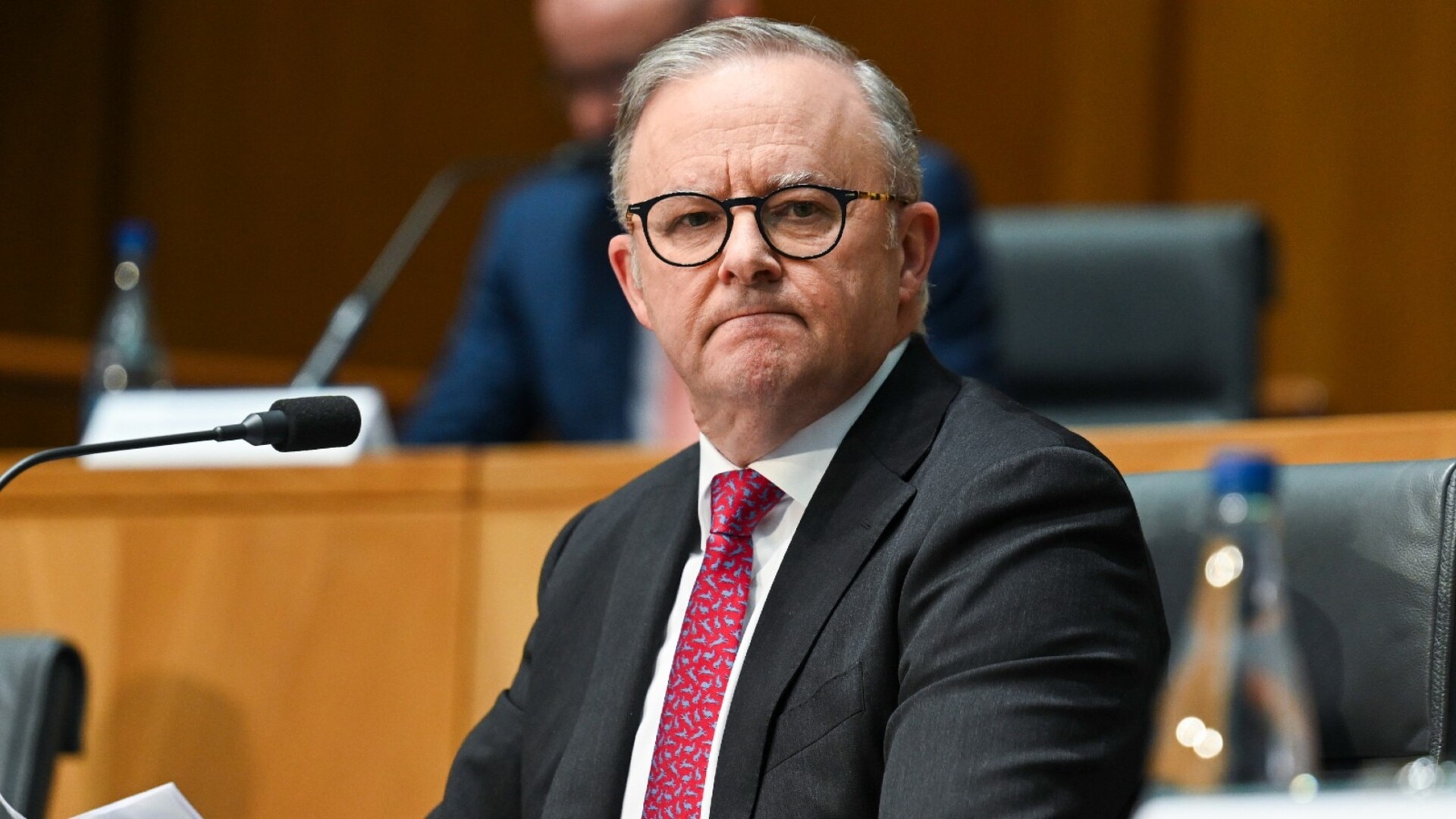 ‘Give us a plan’: Albanese government mocked over fuel crisis ad campaign