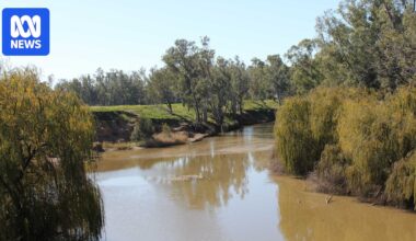 Western NSW dam limit increase plan dumped over impact on protected wetlands