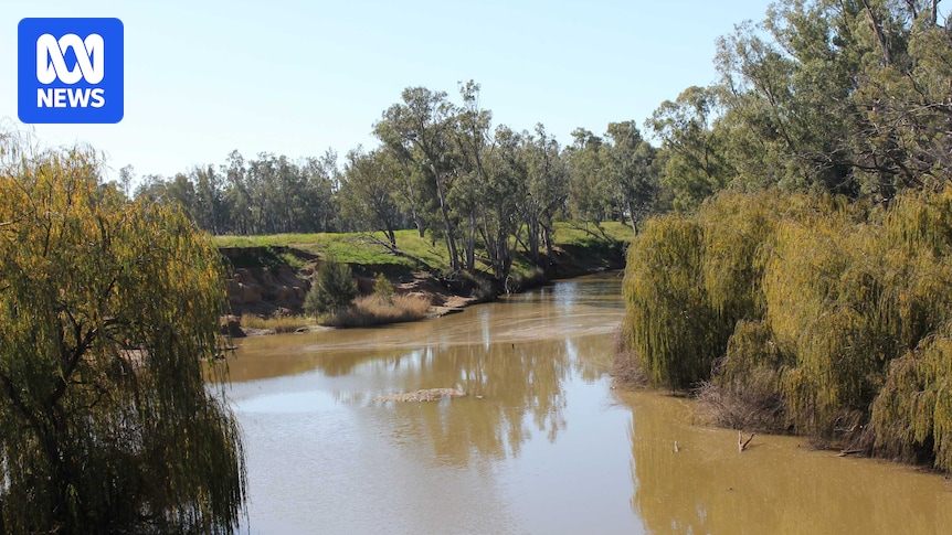 Western NSW dam limit increase plan dumped over impact on protected wetlands