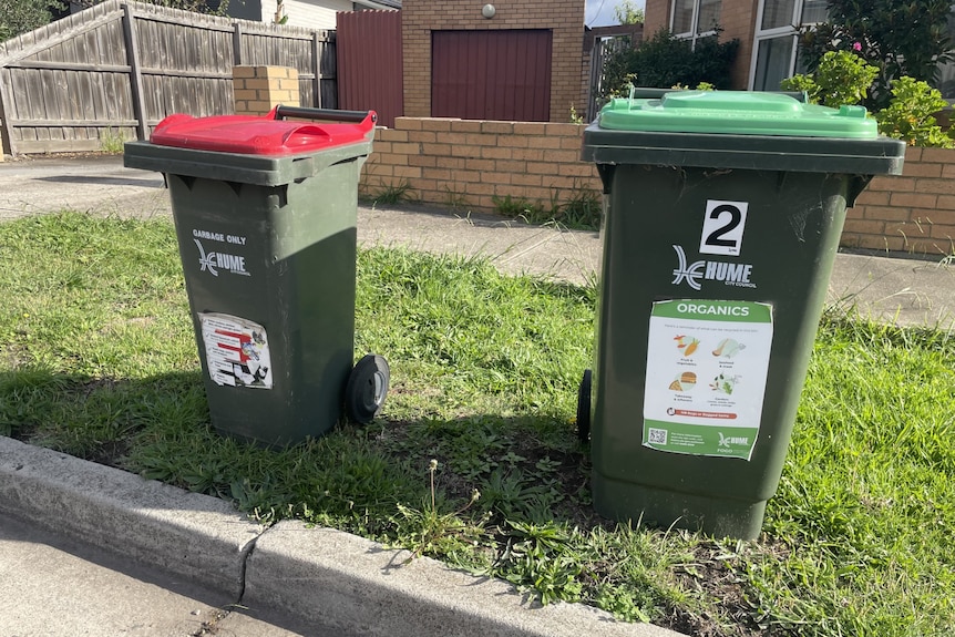 Two wheelie bins.