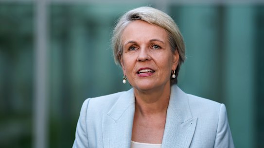 Minister for Social Services Tanya Plibersek.