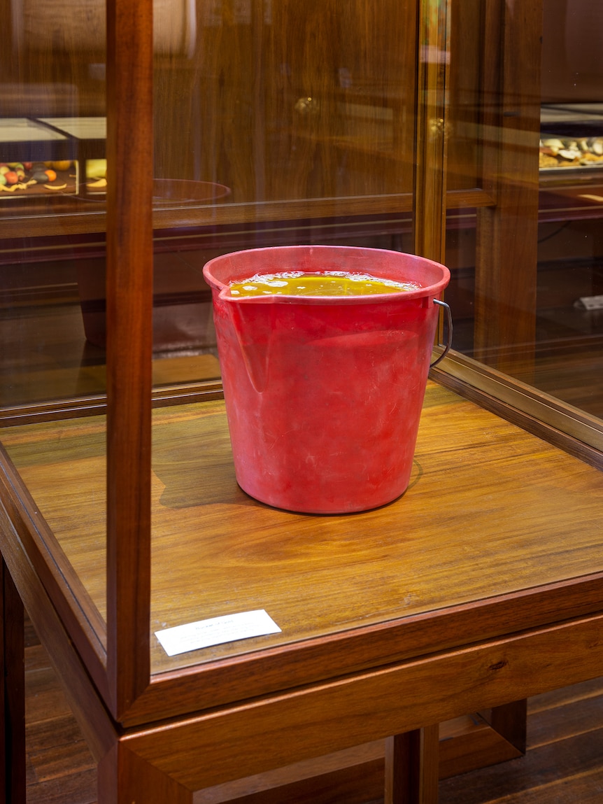 In a museum space, in a glass display case, with wood finishings, sits a red bucket, filled with gold-coloured liquid.