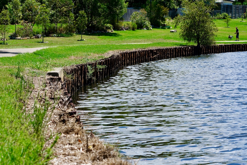 A river with steel pilings along it separating it from the parkland.