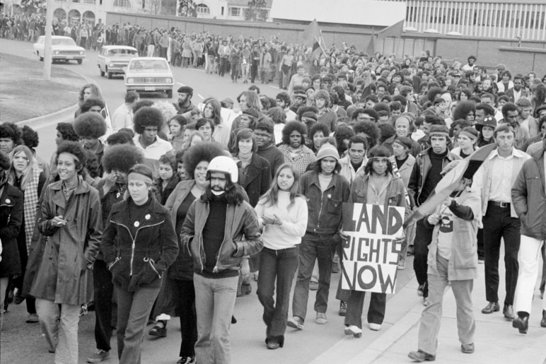 A crowd of protesters. 