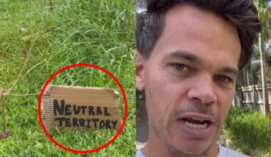 'Resolved diplomatically': Bachelor star Jimmy Nicholson's 'petty' act in response to neighbour's 'un-Australian' lawnmowing incident divides the internet