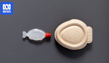 Single-use plastic soy sauce fish are an eco-nightmare. A local designer has a solution